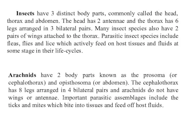 Insects have 3 distinct body parts, commonly called the head, thorax