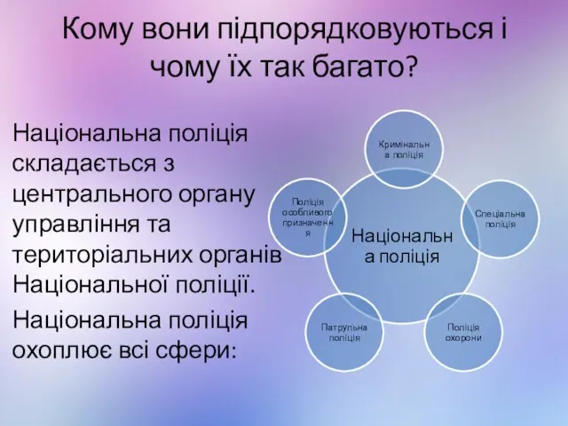 Кому вони підпорядковуються і чому їх так багато? Національна поліція складається