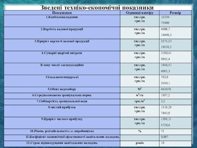 Зведені техніко-економічні показники