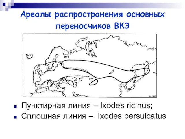 Ареалы распространения основных переносчиков ВКЭ Пунктирная линия – Ixodes ricinus; Сплошная линия – Ixodes persulcatus