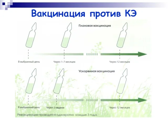 Вакцинация против КЭ