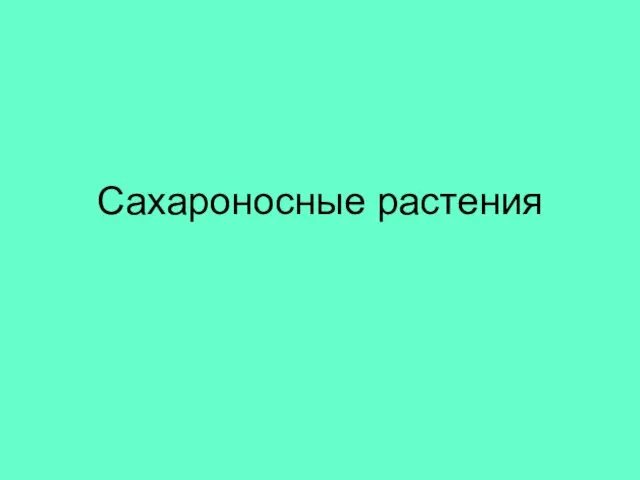 Сахароносные растения