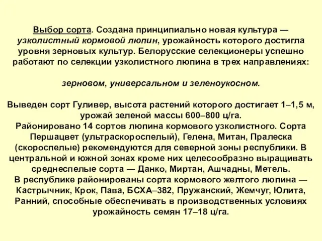 Выбор сорта. Создана принципиально новая культура ― узколистный кормовой люпин, урожайность