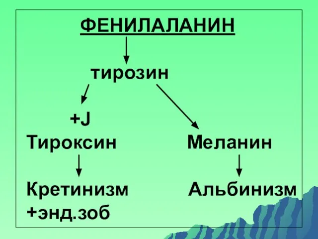 ФЕНИЛАЛАНИН тирозин +Ј Тироксин Меланин Кретинизм Альбинизм +энд.зоб