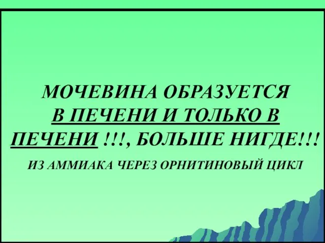 МОЧЕВИНА ОБРАЗУЕТСЯ В ПЕЧЕНИ И ТОЛЬКО В ПЕЧЕНИ !!!, БОЛЬШЕ НИГДЕ!!! ИЗ АММИАКА ЧЕРЕЗ ОРНИТИНОВЫЙ ЦИКЛ