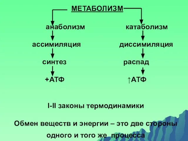 МЕТАБОЛИЗМ анаболизм катаболизм ассимиляция диссимиляция синтез распад +АТФ ↑АТФ I-II законы