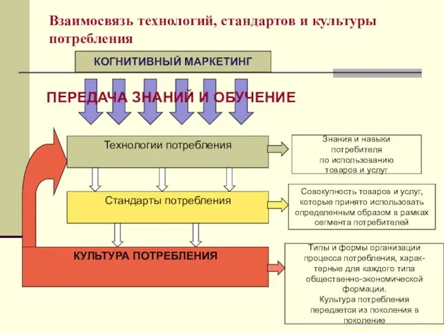 Взаимосвязь технологий, стандартов и культуры потребления Знания и навыки потребителя по