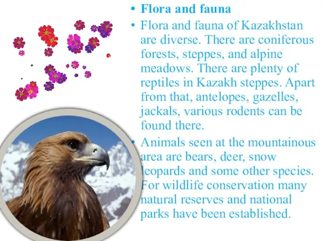 Flora and fauna Flora and fauna of Kazakhstan are diverse. There