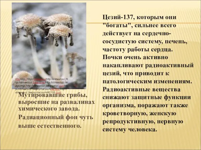 Мутировавшие грибы, выросшие на развалинах химического завода. Радиационный фон чуть выше