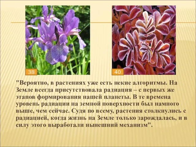 "Вероятно, в растениях уже есть некие алгоритмы. На Земле всегда присутствовала