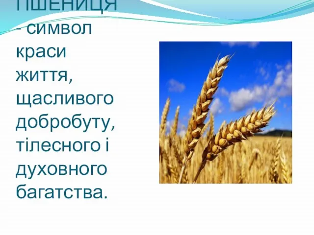 ПШЕНИЦЯ - символ краси життя, щасливого добробуту, тілесного і духовного багатства.