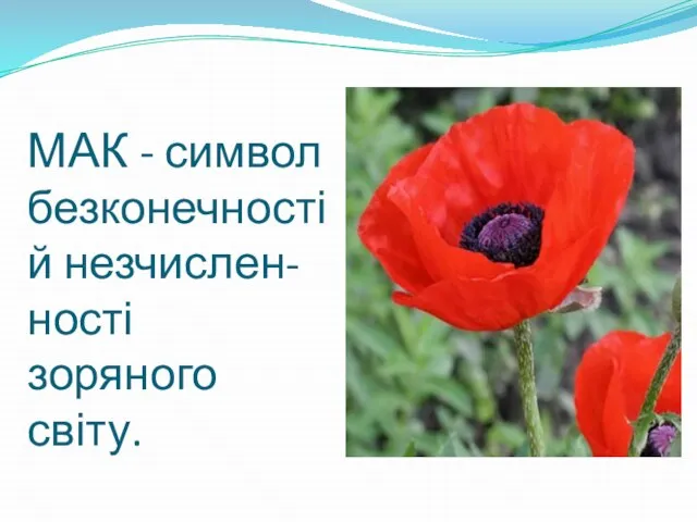 МАК - символ безконечності й незчислен-ності зоряного світу.