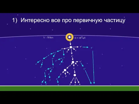 Интересно все про первичную частицу