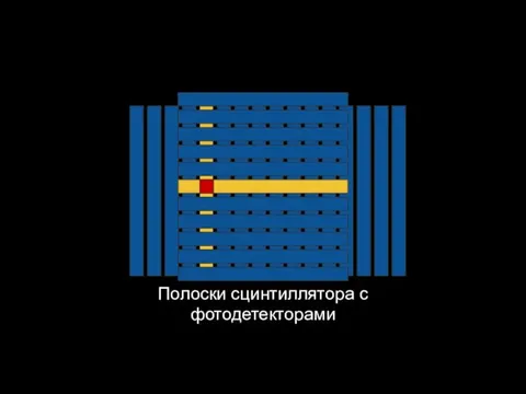 Полоски сцинтиллятора с фотодетекторами