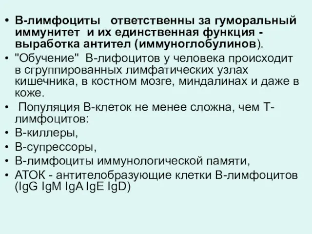 В-лимфоциты ответственны за гуморальный иммунитет и их единственная функция - выработка