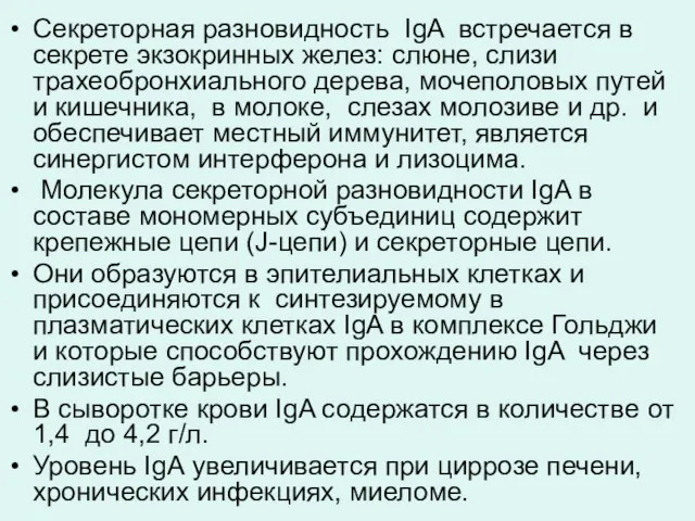 Секреторная разновидность IgA встречается в секрете экзокринных желез: слюне, слизи трахеобронхиального