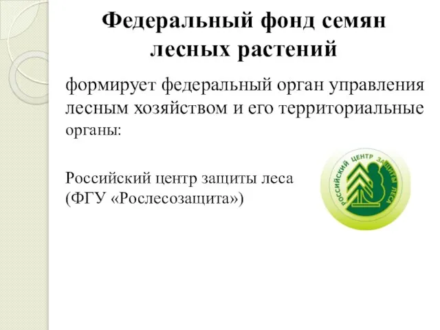 Федеральный фонд семян лесных растений формирует федеральный орган управления лесным хозяйством