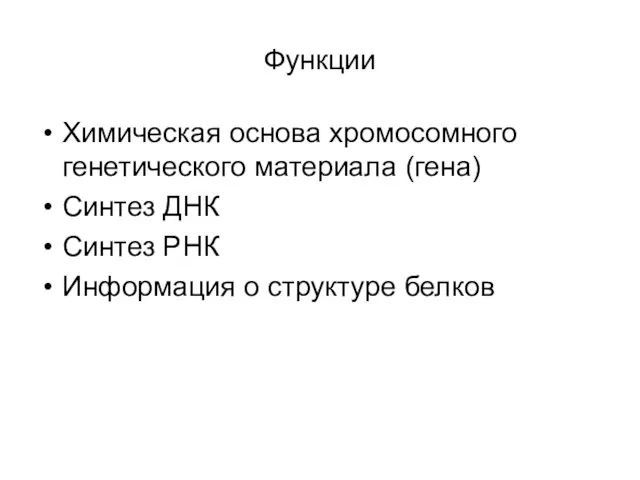 Функции Химическая основа хромосомного генетического материала (гена) Синтез ДНК Синтез РНК Информация о структуре белков