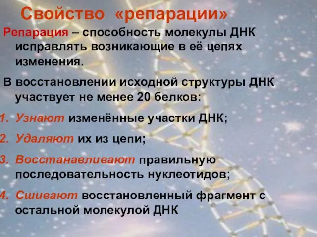 Свойство «репарации» Репарация – способность молекулы ДНК исправлять возникающие в её