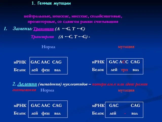 нейтральные, нонсенс, миссенс, сплайсинговые, промоторные, со сдвигом рамки считывания Замены: Транзиции