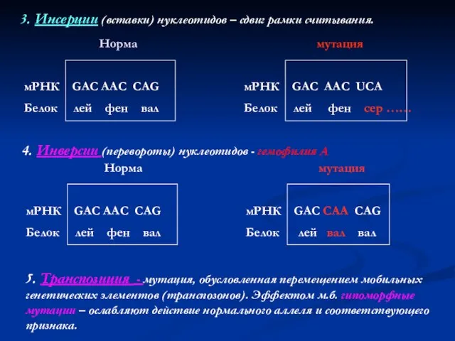 4. Инверсии (перевороты) нуклеотидов - гемофилия А Норма мРНК GAC AAC