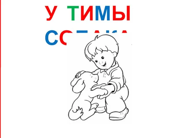 У ТИМЫ СОБАКА