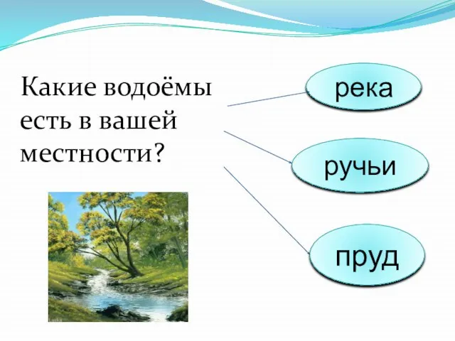 Какие водоёмы есть в вашей местности? река ручьи пруд