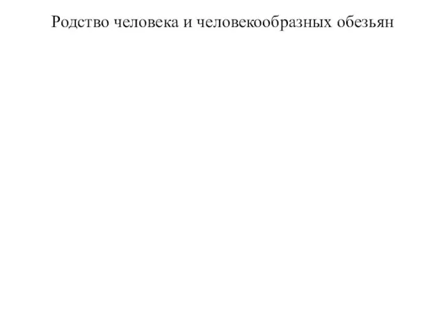 Родство человека и человекообразных обезьян