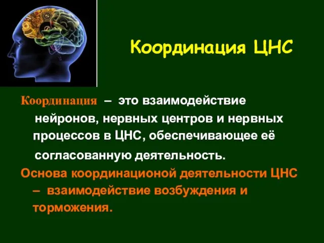 Координация ЦНС Координация – это взаимодействие нейронов, нервных центров и нервных