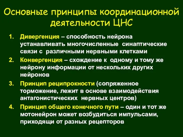 Основные принципы координационной деятельности ЦНС Дивергенция – способность нейрона устанавливать многочисленные