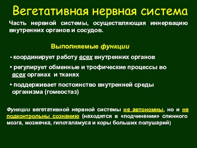 Выполняемые функции: координирует работу всех внутренних органов регулирует обменные и трофические