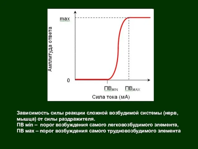 Зависимость силы реакции сложной возбудимой системы (нерв, мышца) от силы раздражителя.