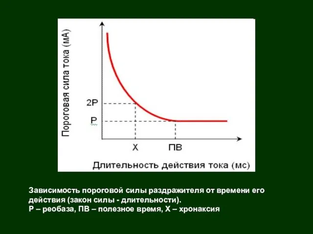 Зависимость пороговой силы раздражителя от времени его действия (закон силы -