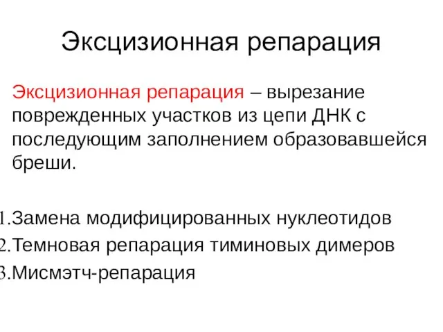 Эксцизионная репарация Эксцизионная репарация – вырезание поврежденных участков из цепи ДНК