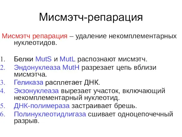 Мисмэтч-репарация Мисмэтч репарация – удаление некомплементарных нуклеотидов. Белки MutS и MutL