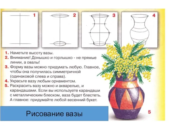 Рисование вазы