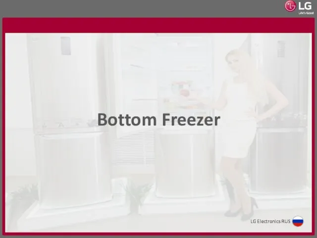 Bottom Freezer