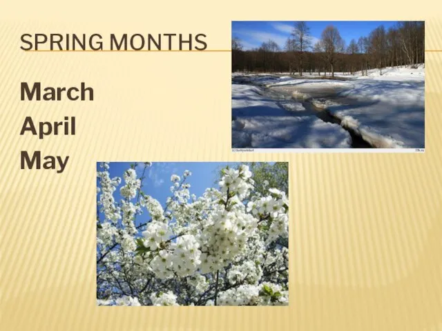 SPRING MONTHS March April May