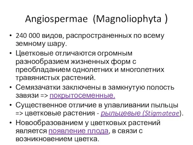 Angiospermae (Magnoliophyta ) 240 000 видов, распространенных по всему земному шару.