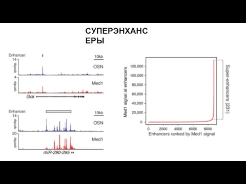 СУПЕРЭНХАНСЕРЫ