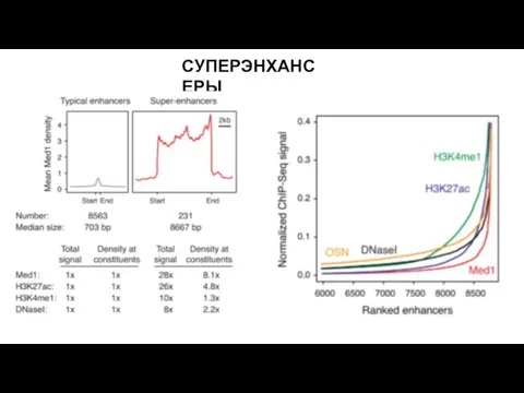 СУПЕРЭНХАНСЕРЫ