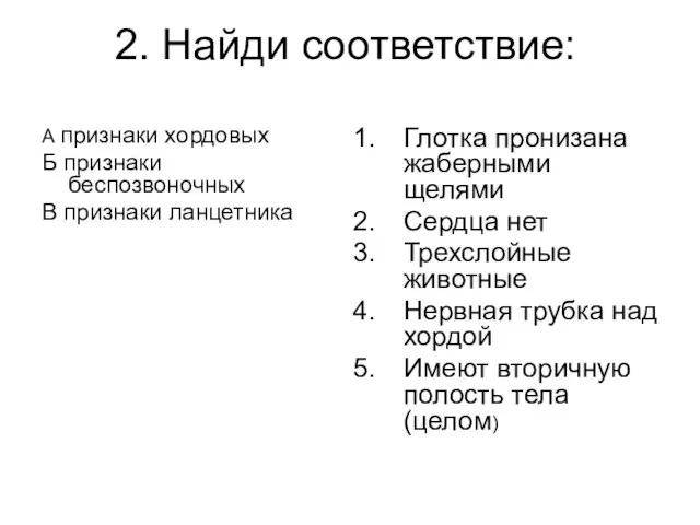 2. Найди соответствие: А признаки хордовых Б признаки беспозвоночных В признаки