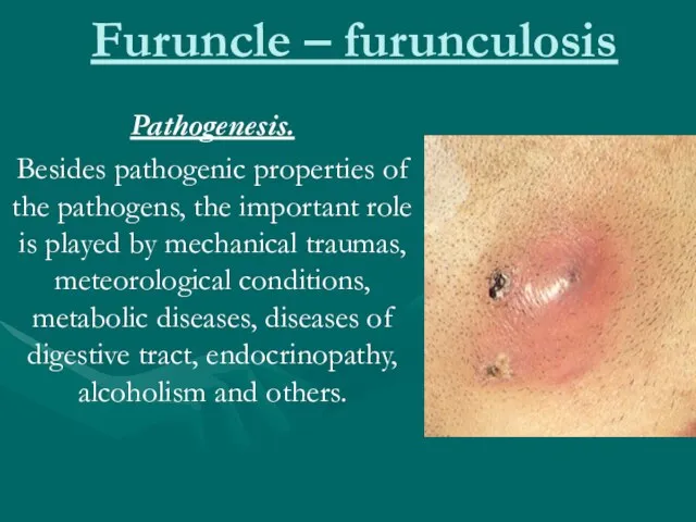 Furuncle – furunculosis Pathogenesis. Besides pathogenic properties of the pathogens, the