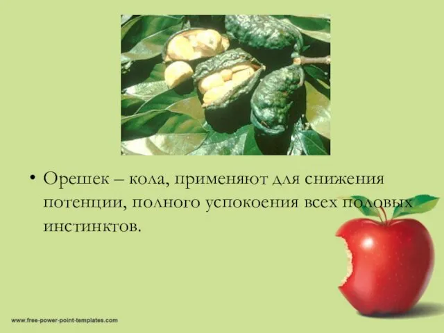 Орешек – кола, применяют для снижения потенции, полного успокоения всех половых инстинктов.