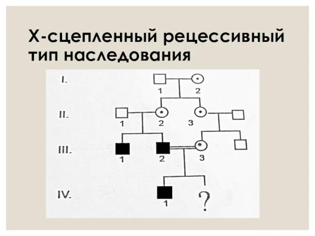 Х-сцепленный рецессивный тип наследования