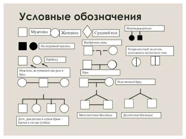 Условные обозначения Исследуемый признак. Женщина Средний пол Мужчина Пробанд Мужчина, вступивший