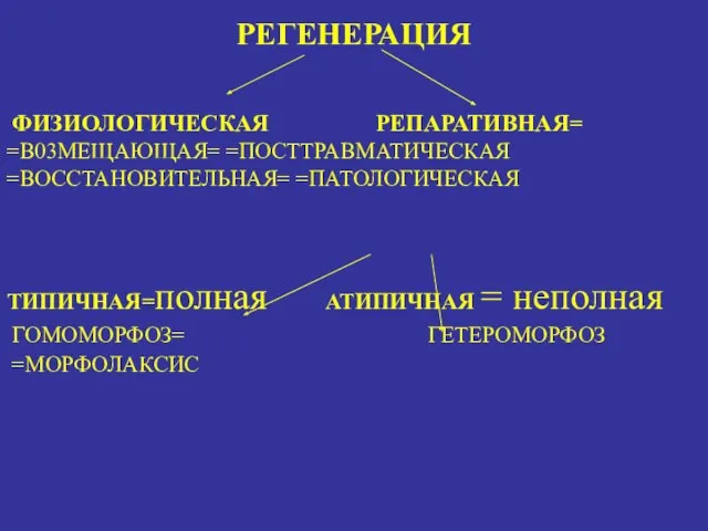 РЕГЕНЕРАЦИЯ ФИЗИОЛОГИЧЕСКАЯ РЕПАРАТИВНАЯ= =В03МЕЩАЮЩАЯ= =ПОСТТРАВМАТИЧЕСКАЯ =ВОССТАНОВИТЕЛЬНАЯ= =ПАТОЛОГИЧЕСКАЯ ТИПИЧНАЯ=полная АТИПИЧНАЯ = неполная ГОМОМОРФОЗ= ГЕТЕРОМОРФОЗ =МОРФОЛАКСИС