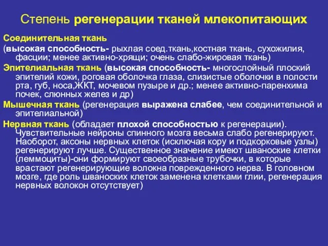 Степень регенерации тканей млекопитающих Соединительная ткань (высокая способность- рыхлая соед.ткань,костная ткань,