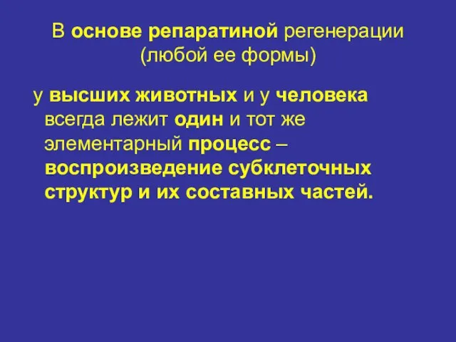 В основе репаратиной регенерации (любой ее формы) у высших животных и