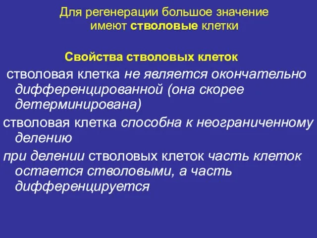 Для регенерации большое значение имеют стволовые клетки Свойства стволовых клеток стволовая